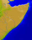 Somalia Vegetation 1900x2400
